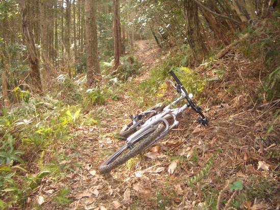 b0222530_1504762.jpg