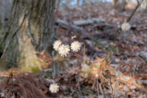 b0281732_6291565.jpg