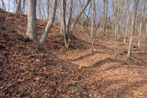 b0281732_6292555.jpg