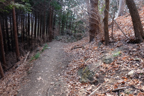 b0281732_6293850.jpg