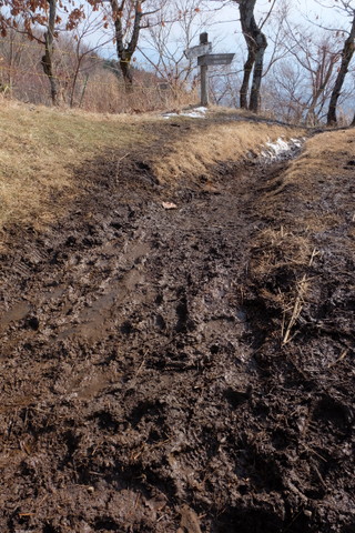 b0281732_6294740.jpg
