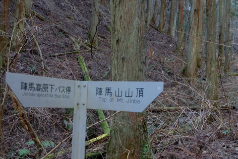 b0281732_6312378.jpg