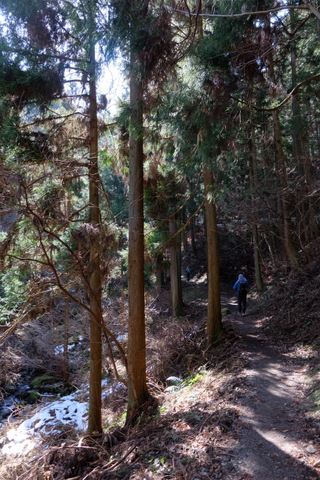 b0281732_6313193.jpg
