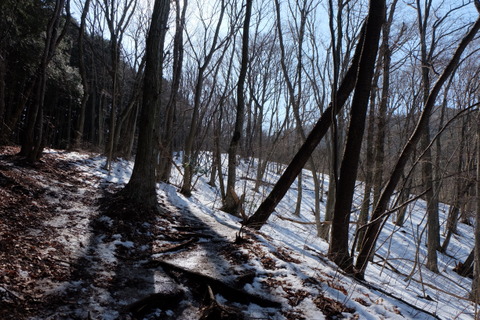 b0281732_631781.jpg