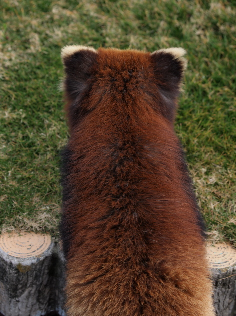 a0149740_5314570.jpg