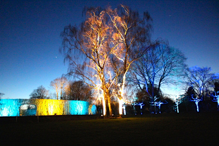 c0153740_17103166.jpg