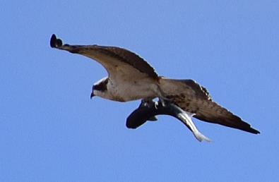 c0339546_2073928.jpg