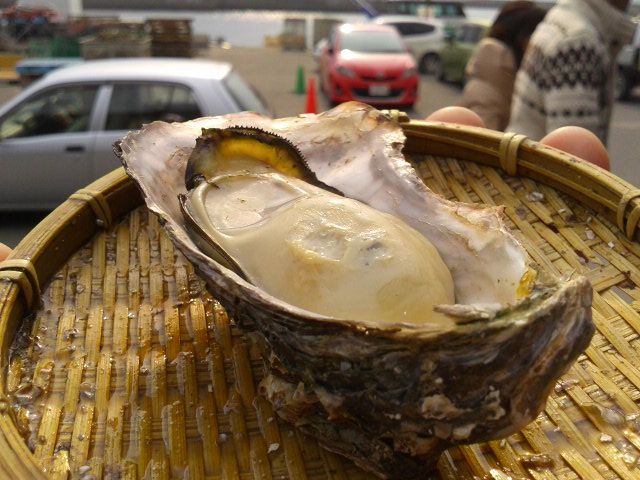 c0214359_0232362.jpg