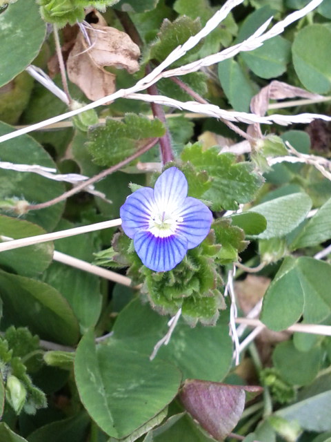 c0214359_064918.jpg