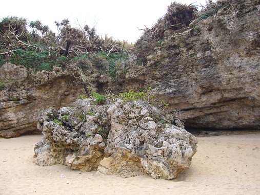 f0223565_1104549.jpg