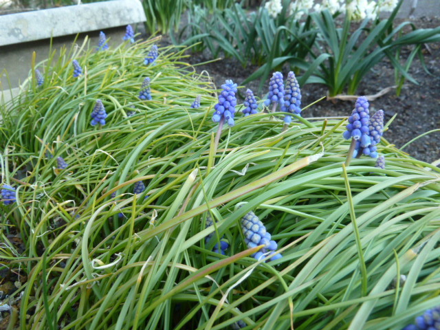 e0278968_22211721.jpg