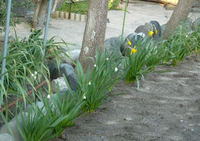 e0278968_22232162.jpg