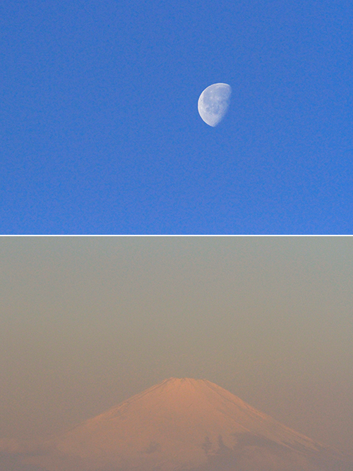 a0157069_1058966.jpg