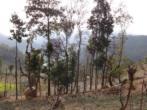 e0155370_1848077.jpg