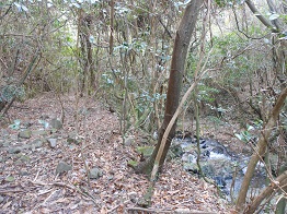 e0175370_10283313.jpg