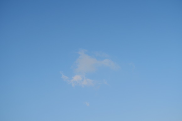 e0292172_2048720.jpg