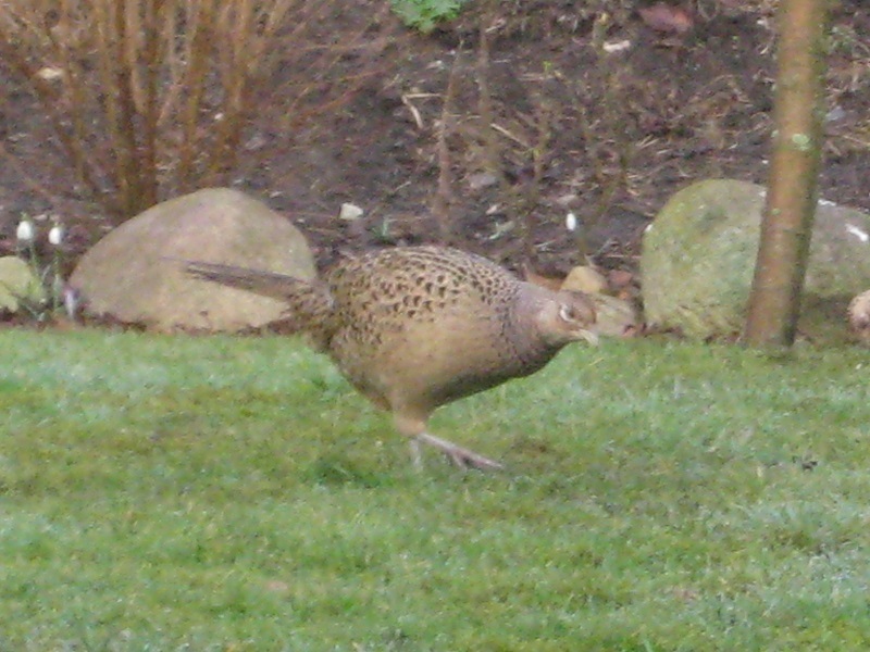 a0326880_01463029.jpg