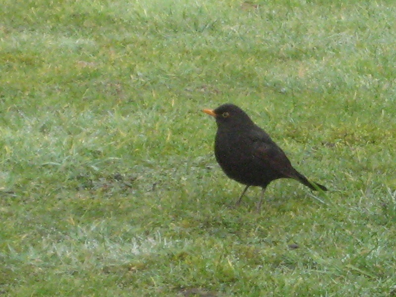 a0326880_01473247.jpg