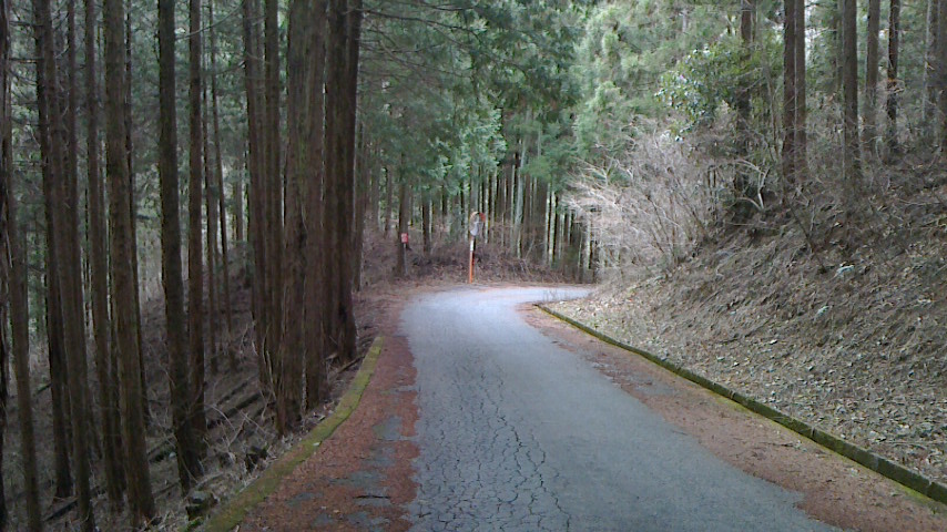 f0131183_1913454.jpg