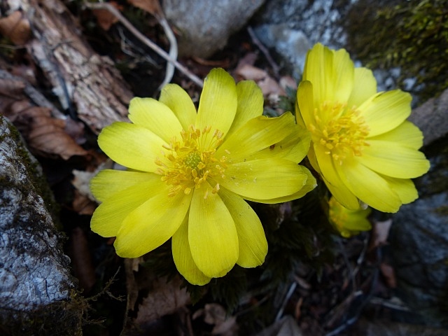 f0357487_2045692.jpg