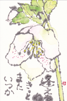 a0030594_23143534.gif