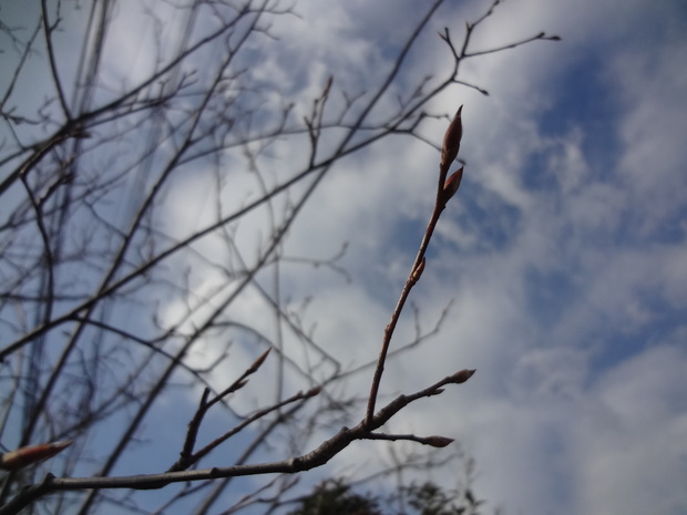 e0292102_823546.jpg