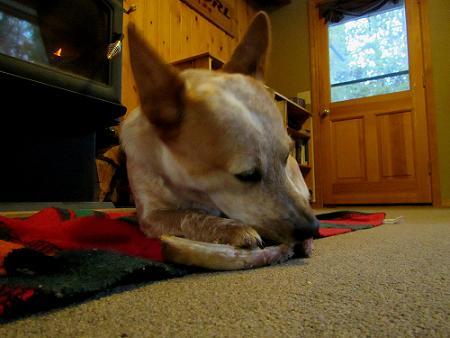 a0310405_09370794.jpg