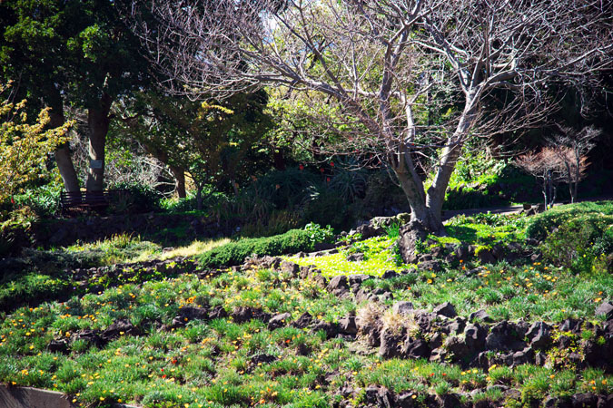 a0263109_16145086.jpg