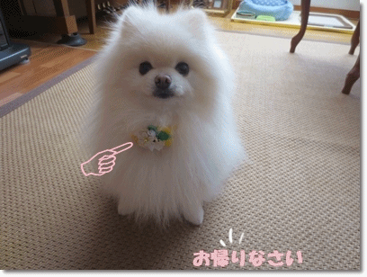 b0167519_2124123.gif
