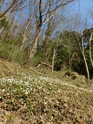 a0105023_1312087.jpg