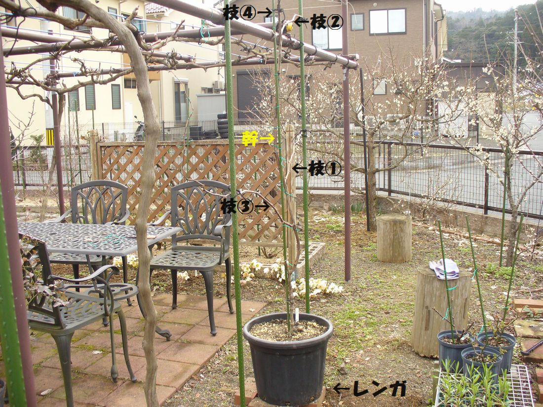 f0346527_22442199.jpg