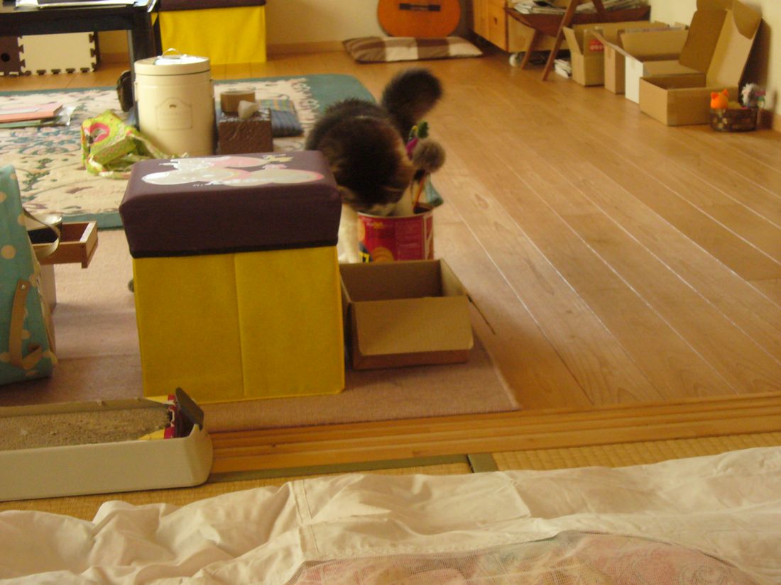 f0346527_2264475.jpg