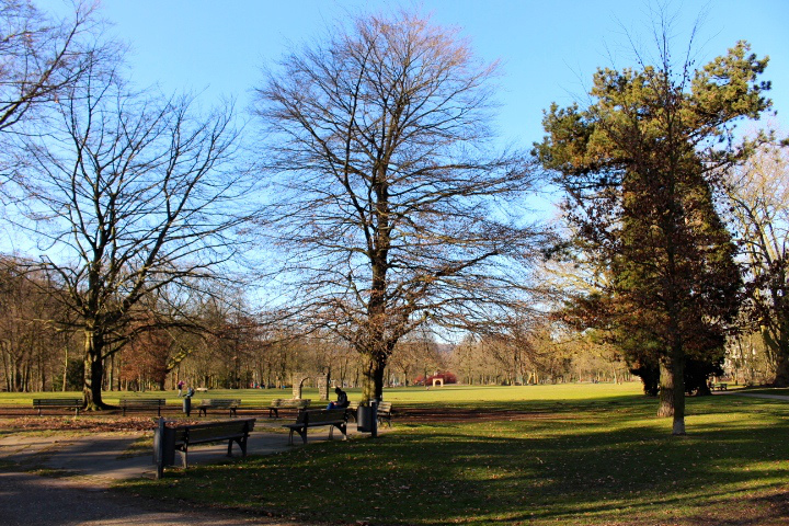 c0153740_1551656.jpg