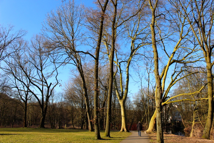 c0153740_156487.jpg