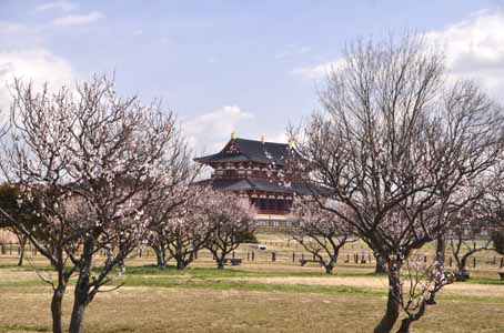 a0100742_9202775.jpg