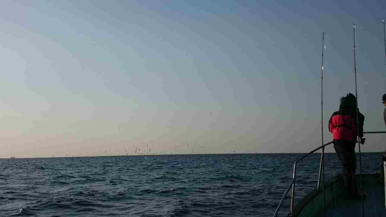 a0248152_17412727.jpg