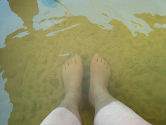 f0345263_20061070.jpg