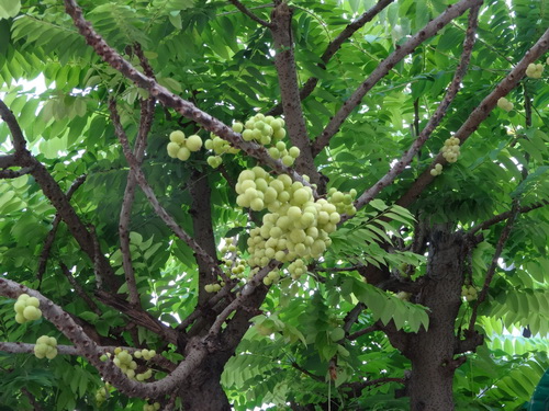 c0357964_1311855.jpg