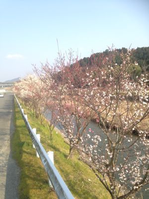 e0136066_9435597.jpg