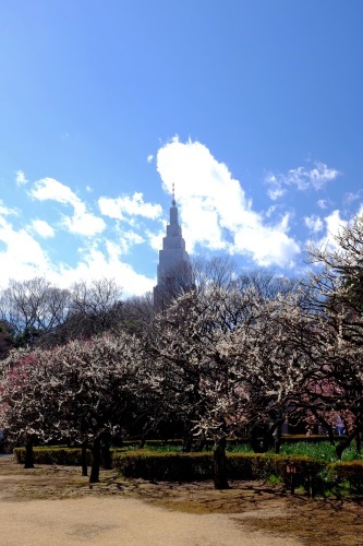 c0210275_08461608.jpg