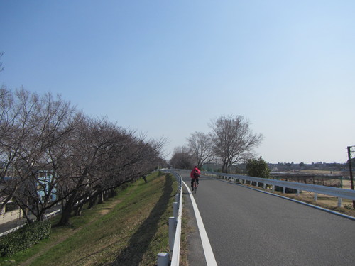 a0251786_19534518.jpg