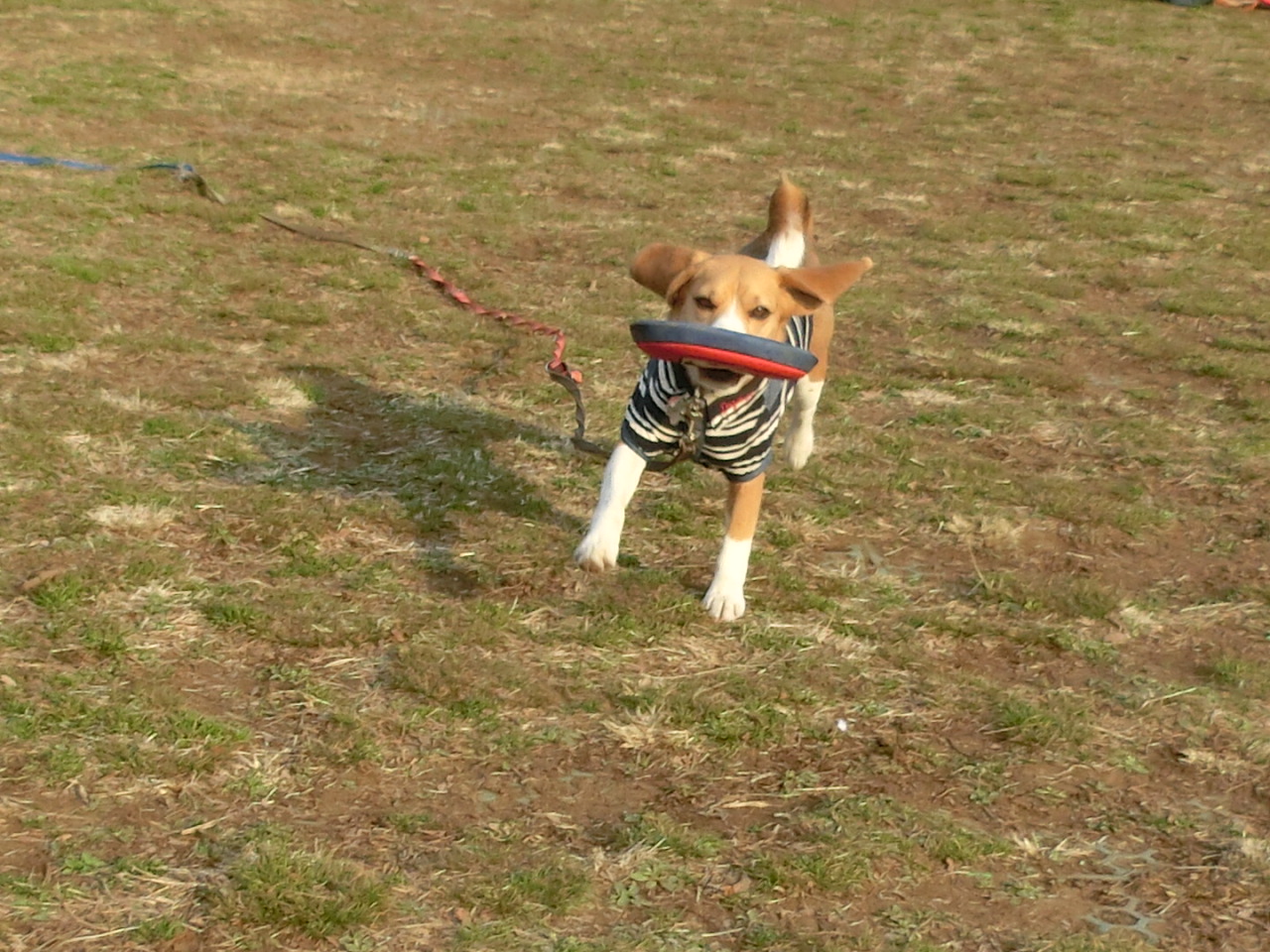 a0319693_207571.jpg