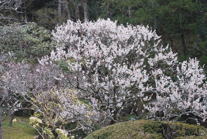 e0025300_18381645.jpg