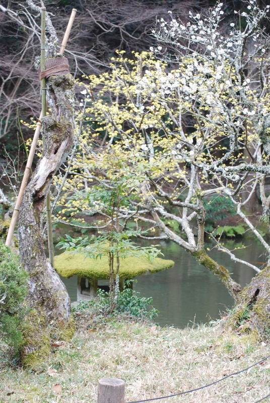 e0025300_1850141.jpg