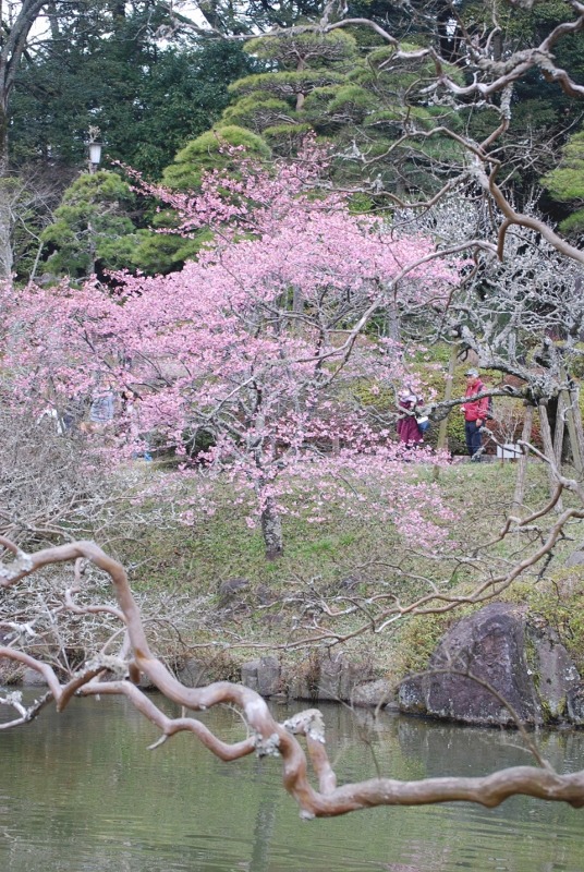 e0025300_18533326.jpg