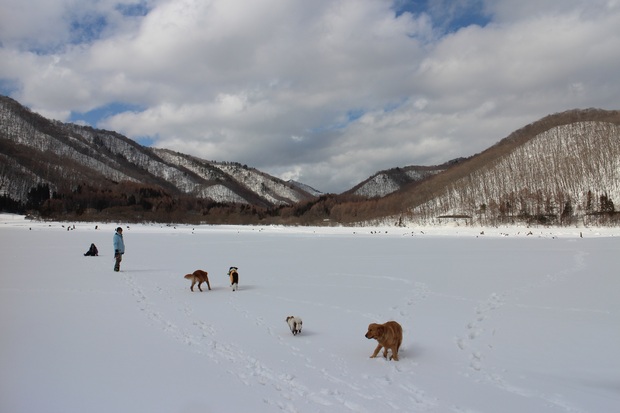 f0034602_20382966.jpg