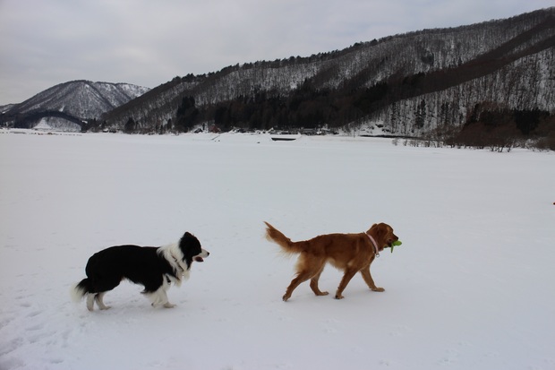f0034602_20421899.jpg