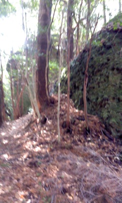 f0187402_1727482.jpg
