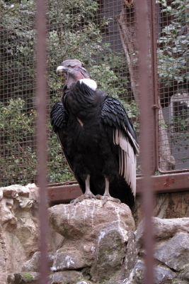 e0133025_16564897.jpg