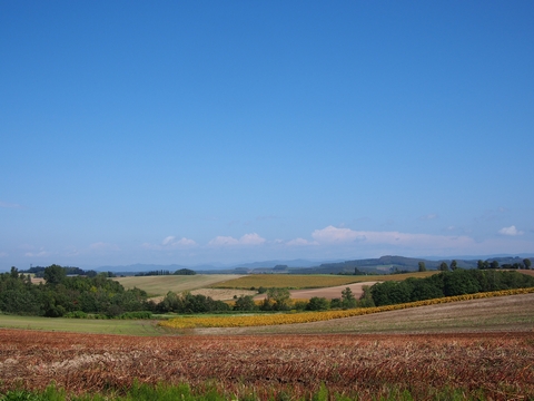b0042334_936494.jpg